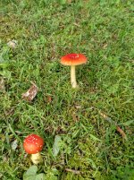 IMG_20240526_095224_HDR[1].jpg