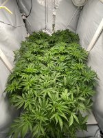 photo173000.jpg