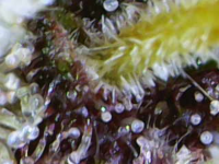 Image_2024-05-27 18_59_56_263.png