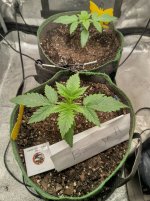 IMG_20240601_114625_HDR[1].jpg