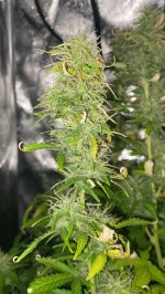 IMG_9644.jpg