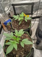IMG_20240603_133842_HDR[1].jpg