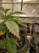 IMG_20240610_100505_HDR[1].jpg