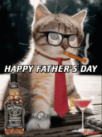 happy-fathers-day-cat.gif