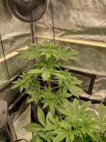 IMG_20240615_182753_HDR[1].jpg