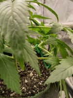 IMG_20240615_134617_HDR[1].jpg
