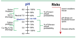 PH For SAP Chart.png