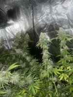 photo174302.jpg