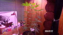 100_0355.jpg
