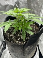 photo174690.jpg