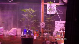 100_0369.jpg