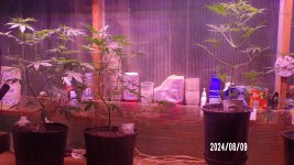 100_0371.jpg