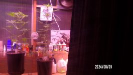 100_0372.jpg