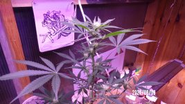 100_0374.jpg