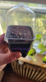 photo174975.jpg