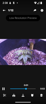 photo175334.png