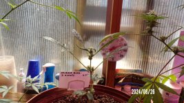 100_0376.jpg