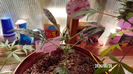 100_0377.jpg