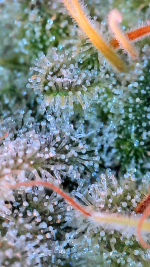 2024_09_04_13_58_17_206.png