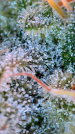 2024_09_04_13_58_20_055.png