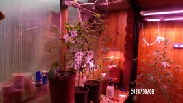 100_0383.jpg