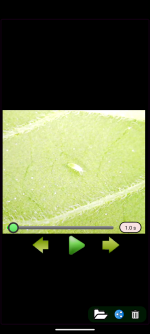 photo175652.png