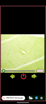 photo175653.png