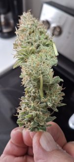 20240908_112343.jpg