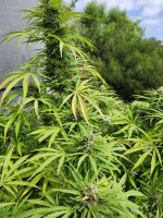 20240914_105733.jpg