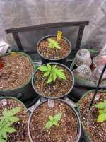 IMG_20240915_105218_HDR[1].jpg