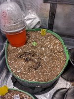 IMG_20240915_105215_HDR[1].jpg