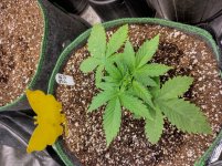 IMG_20240915_105211_HDR[1].jpg