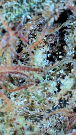 2024_09_18_11_08_50_584.png