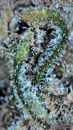 2024_09_18_11_07_56_104.png