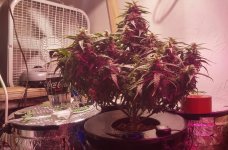0421171544a_HDR-1a.jpg