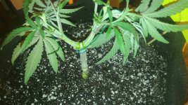 20170503_232022-2656x1494.jpg