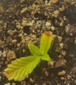 20170505_093124.jpg