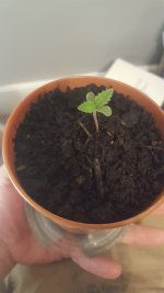 20170427_014327.jpg