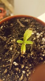 20170506_210721.jpg