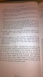 photo18796.jpg