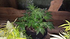 20170508_104203.jpg