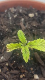 20170508_215512.jpg