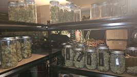 20241011_080114.jpg
