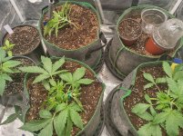 IMG_20241012_094656_HDR[1].jpg