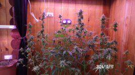 100_0401.jpg