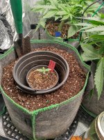 IMG_20241027_130700_HDR[1].jpg