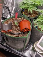 IMG_20241028_092529_HDR[1].jpg