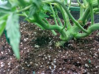 IMG_20241030_100252_HDR[1].jpg