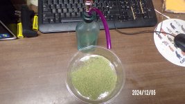 100_0440.jpg