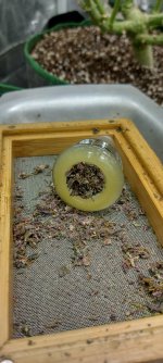 IMG_20250110_142115_HDR[1].jpg